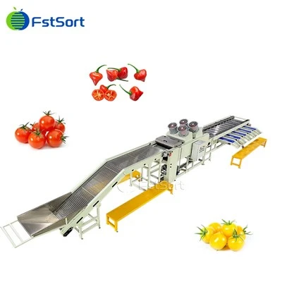 Fstsort High Quality Cherry Pepper Processing Machine Vegetable Grading Machine